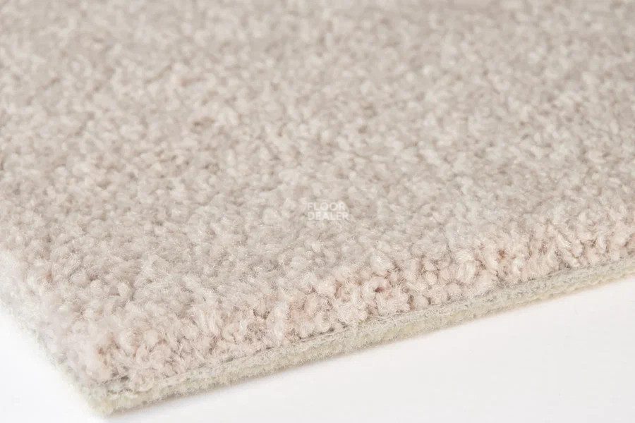 Vorwerk Superior 1065/Viola Vorwerk 8k03 фото 3 | FLOORDEALER